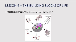 The Building Blocks of Life [upl. by Kado946]