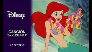 La Sirenita  Canción Bajo el mar  Disney Oficial [upl. by Eem]