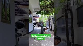 G liat sampei akhir nyesel loh vidiolucu [upl. by Jaquenetta]