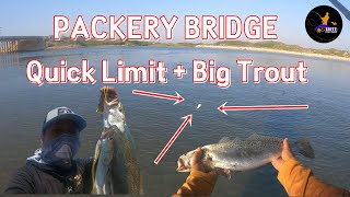 Packery Bridge Quick Limit  Big trout  Corpus Christi Texas [upl. by Aveline]