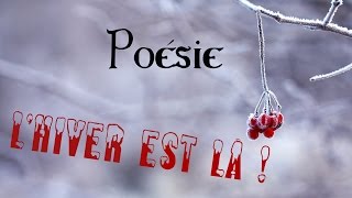 Poésie ⛄ Lhiver est là de Karine Persillet 🎄 [upl. by Soelch]