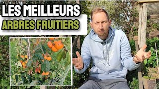 Où devons nous ACHETER nos ARBRES FRUITIERS  pepinieriste local varietesanciennes [upl. by Aneleairam]