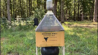 Horse Pal Horse Fly Trap Review after 3 Years of Using [upl. by Esyla]