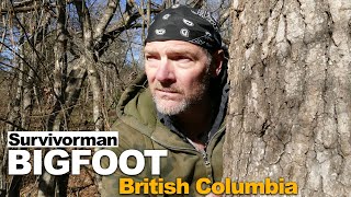 Survivorman Bigfoot  Episode 2  British Columbia  Les Stroud  Todd Standing [upl. by Enneite]