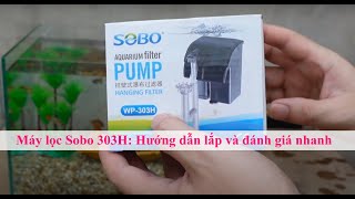 Máy lọc bể cá Sobo 303H Hướng dẫn lắp đặt và đánh giá nhanh [upl. by Nairret]