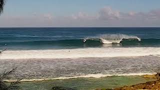 North Shore Skatepark opens for the season – October 19 2024 [upl. by Ardelis]