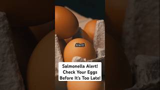 Salmonella Alert Check Your Eggs Before It’s Too Late shorts [upl. by Lipps]