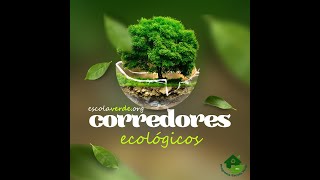 CORREDORES ECOLÓGICOS 🌳 [upl. by Solnit]