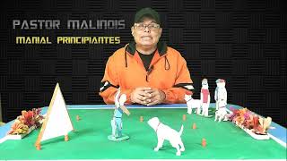 Prueba de COMPORTAMIENTO Pastor Malinois [upl. by Esyned]