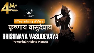 KRISHANAYA VASUDEVAYA 108 Times  POWERFUL Krishna Mantra for Inner Peace  Listen for a Sound Sleep [upl. by Sinned]