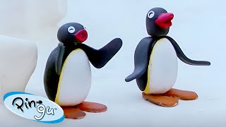 Pingu Causes Mischief 🐧  Pingu  Official Channel  Cartoons For Kids [upl. by Ahtiuqal]