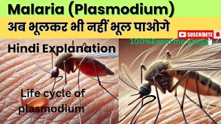 How a Parasite manipulate your RBCs Malaria plasmodium [upl. by Thevenot]