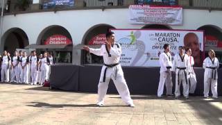 PDMU Sinaloa Exhibicion Taekwondo [upl. by Aidul]