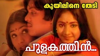 Pulakathin  Super Hit Malayalam Movie  Kuyiline Thedi  Movie Song [upl. by Eniamreg]