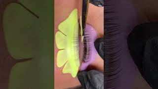 Eyelash Extention Tutorial  Eyelash Lift and Tint  Eyelash Plucking eyelashtreatment eyelashlift [upl. by Brackett10]