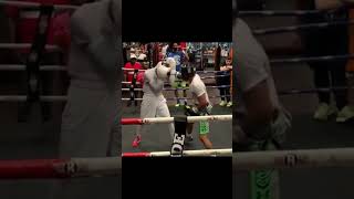 Shakur Stevenson  Sparring  Combo boxing [upl. by Ganley]