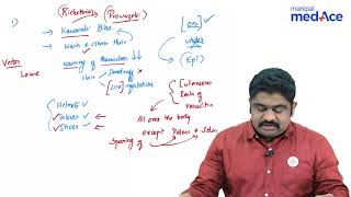 Microbiology  Rickettsia story of Rickettsia Prowazeki [upl. by Chavey]