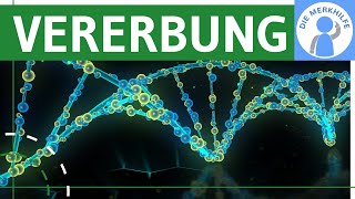 Wie funktioniert Vererbung Chromosomen Theorie Karyogramm amp Menschlicher Lebenszyklus  Genetik [upl. by Jaycee]