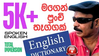 Spoken English through Total Immersion  මුල් විනාඩිය බලල ඉන්නකො [upl. by Lotsirb]