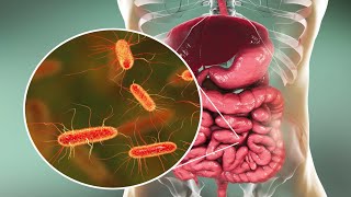 Microorganisms and Humans Commensal and Pathogenic Flora [upl. by Lyndes753]