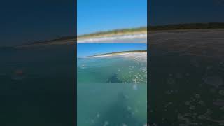 Shorebreak music surfholiday surfing surfbeach surftrip travel waves [upl. by Vitkun]