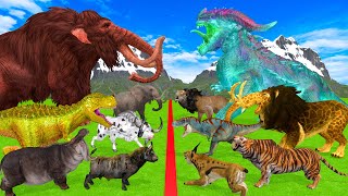 10 Mammoth Elephant Battle vs 10 Big Dragon Lion vs Giant Tiger Attack TRex Saved By Woolly Mammoth [upl. by Esidnac]