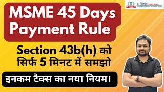 MSME Payment within 45 Days Rule  Section 43bh of Income Tax Act [upl. by Kemme]