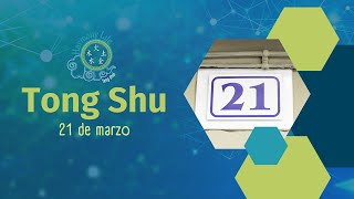 Consejos del Tong Shu para el 21 de marzo Mono de Madera Yang [upl. by Meggie]