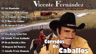 VICENTE FERNANDEZ CORRIDOS DE CABALLOS MIX  VICENTE FERNANDEZ LAS MEJORES RANCHERAS [upl. by Nerval]