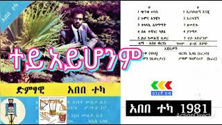 Abebe teka tey ayhonem best music 1981 አበበ ተካ ተይ አይሆንምጰምርጥ ሙዚቃfilmora filmora [upl. by Ylam]