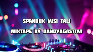 DJ SPANDUK MISI TALI 2024  DJ™ DandyAgastiya Ft DJ™DeDan [upl. by Oicram610]