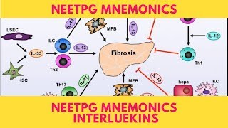 NEETPG Mnemonics Interluekins [upl. by Dougie]