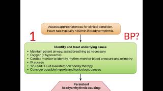 Bradycardia Management [upl. by Etrem]