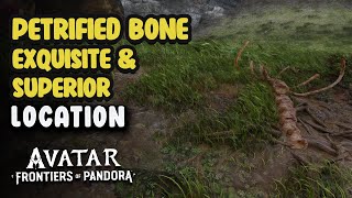 Petrified Bone Superior amp Exquisite Location  Avatar Frontiers Of Pandora [upl. by Moriarty]