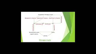 Nitrogen Cycle Shorts  Ecosystem  Environment [upl. by Chenay]