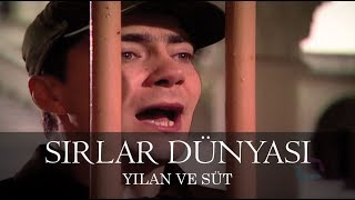 Sırlar Dünyası  YILAN VE SÜT [upl. by Lleirbag98]