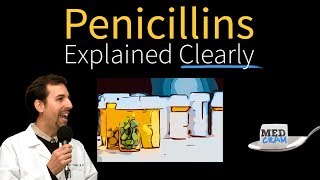 Penicillins  Antibiotics Explained Clearly [upl. by Werdma]