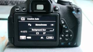 Canon T4i650D Guide to the Basic Modes on the Dial [upl. by Cleon308]