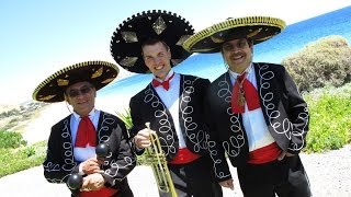 The Mexican Mariachi Band with Trumpet [upl. by Anined]