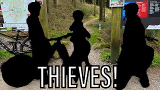 THIEVES on The Quercus Trail at Whinlatter MTB [upl. by Ettevram]