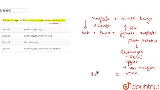 Schizont stages of Plasmodium vivax in man are found in [upl. by Arotahs829]