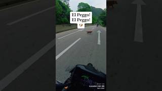 Un susto con un perro😰 mt09sp biker motos rodadas sustos viralshorts IngeBiker bike fypシ゚ [upl. by Redman]