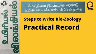 12 th Bio Zoology practical record Tamil Medium [upl. by Lowis648]