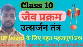 Class10 science उत्सर्जन तंत्र excretion in human beings excretion biology life processes [upl. by Whelan]