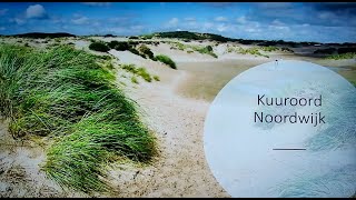 NOVsoos NOV2024  Wellness aan zee [upl. by Katalin858]