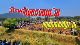 வெள்ளாளபட்டி மஞ்சுவிரட்டு 2024  Vellalapatti Manjuvirattu 2024  Local Media [upl. by Seravat]