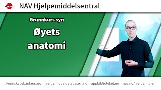 Grunnkurs syn Øyets anatomi [upl. by Baun]