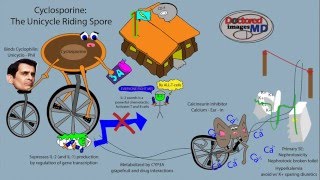 Cyclosporine [upl. by Yrovi]