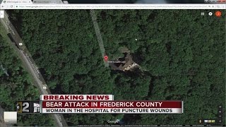 Woman attacked by bear in Frederick County [upl. by Nevile]