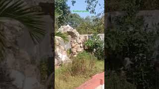 Tor pyar ki Christian song kunkuri MAHA Girija grotto [upl. by Nagap]